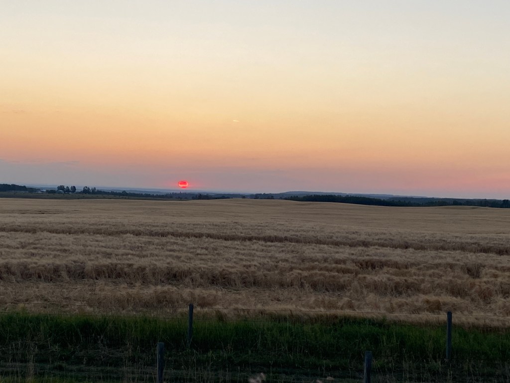 "Ocean View" © 2025 Adam F.C. Fletcher. All rights reserved.