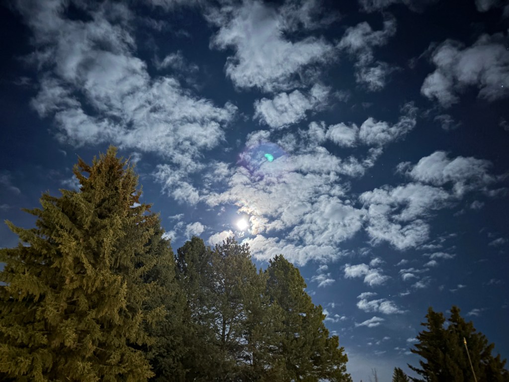 This is "An Introduction to Personal Engagement" by Adam F.C. Fletcher for The Personal Engagement Institute.